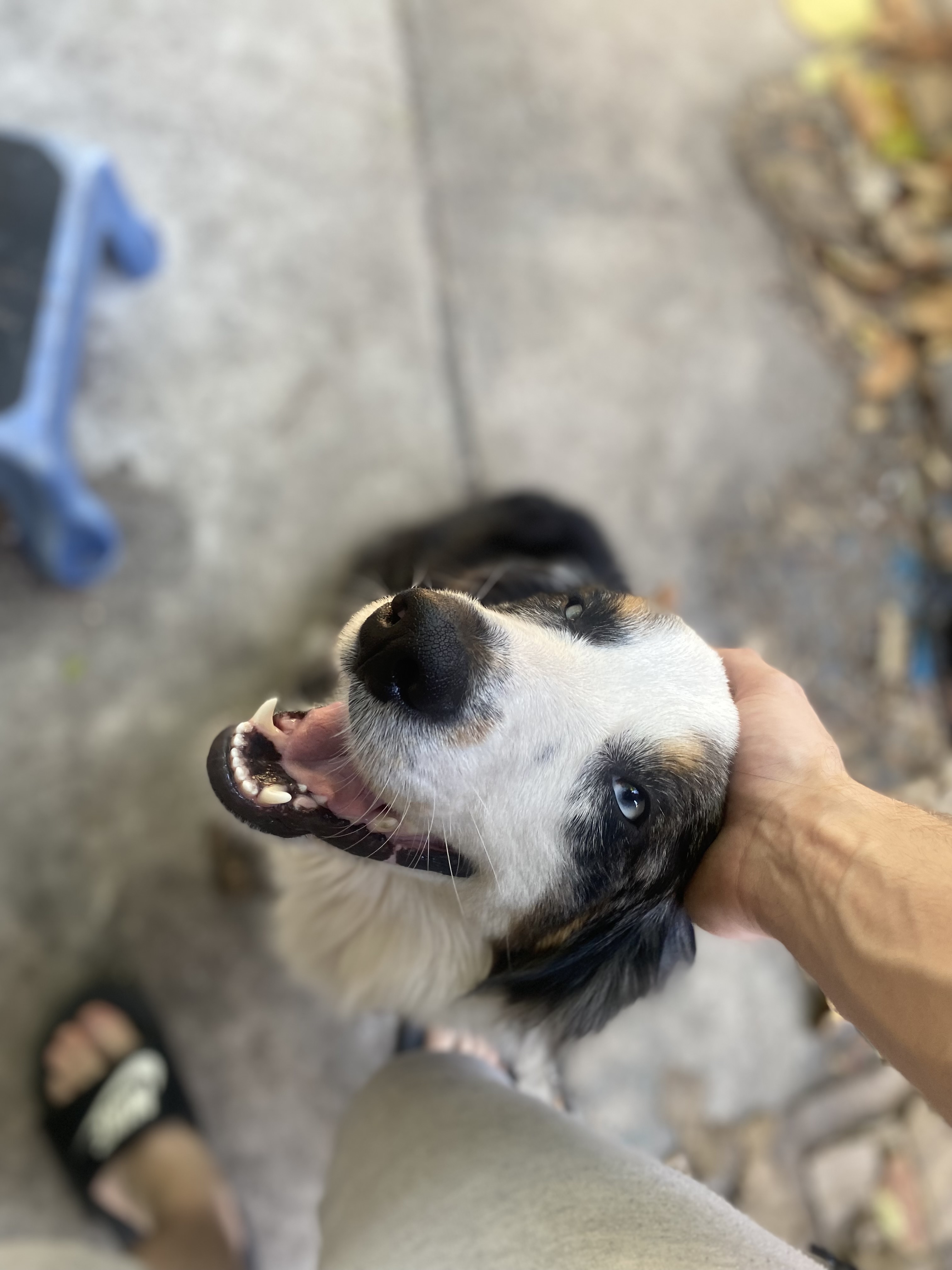 Cooper2